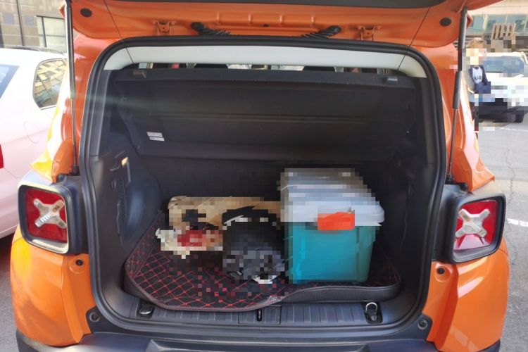Used Jeep Renegade 2019 220T Automatic Elite Edition Trunk