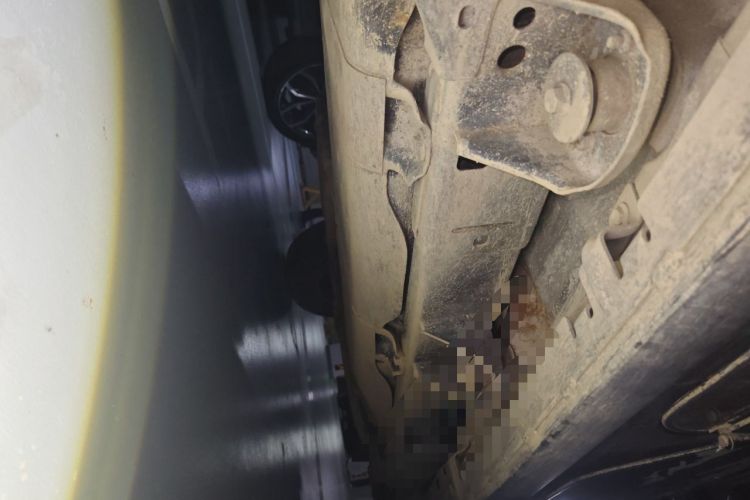 Used Jeep Wrangler 2015 3.6L Rubicon Four-Door Edition Chassis Rear Right