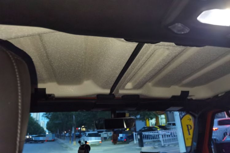 Used Jeep Wrangler 2018 2.0T Sahara Four-Door Edition Headliner