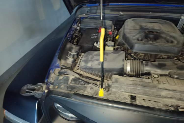 Used Jeep Wrangler 2019 2.0T Sahara Four-Door Version China VI Emission Standard Engine Bay Right