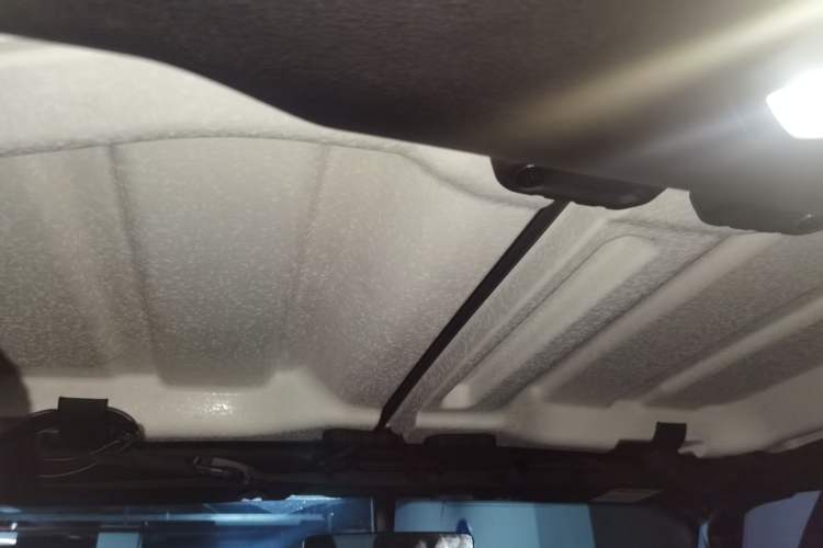 Used Jeep Wrangler 2019 2.0T Sahara Four-Door Version China VI Emission Standard Headliner