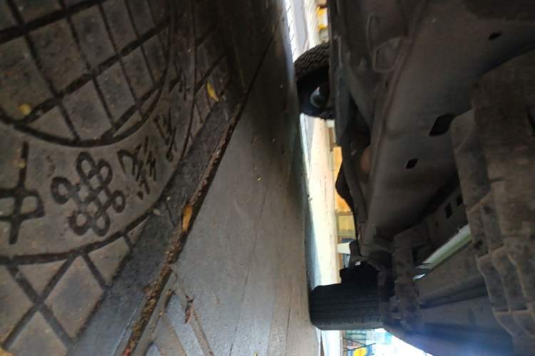 Used Jeep Wrangler 2019 2.0T Sahara 4-Door Version China V Standard Chassis Rear Right
