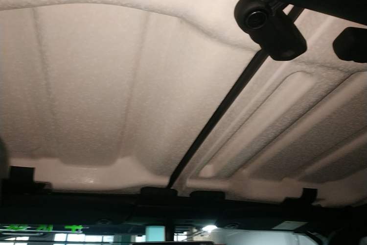 Used Jeep Wrangler 2019 2.0T Sahara Four-Door Version China VI Emission Standard Headliner