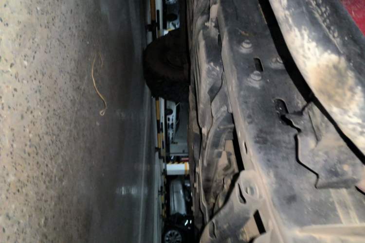 Used Jeep Wrangler 2019 2.0T Sahara Four-Door Version China VI Emission Standard Chassis Front Right