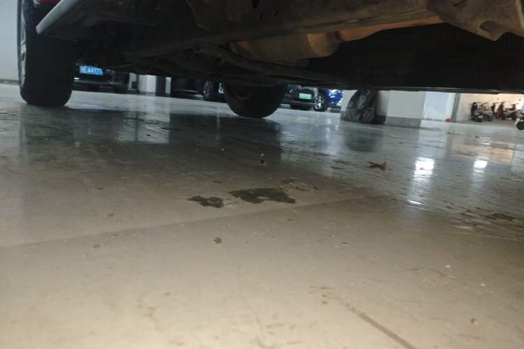 Used Jeep Wrangler 2019 2.0T Sahara 4-Door Version China V Standard Chassis Rear Left