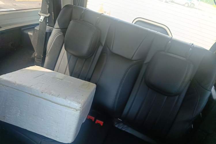 Used Jeep Wrangler 2019 2.0T Sahara Two-Door Version China VI Emission Standard Left Rear Seat