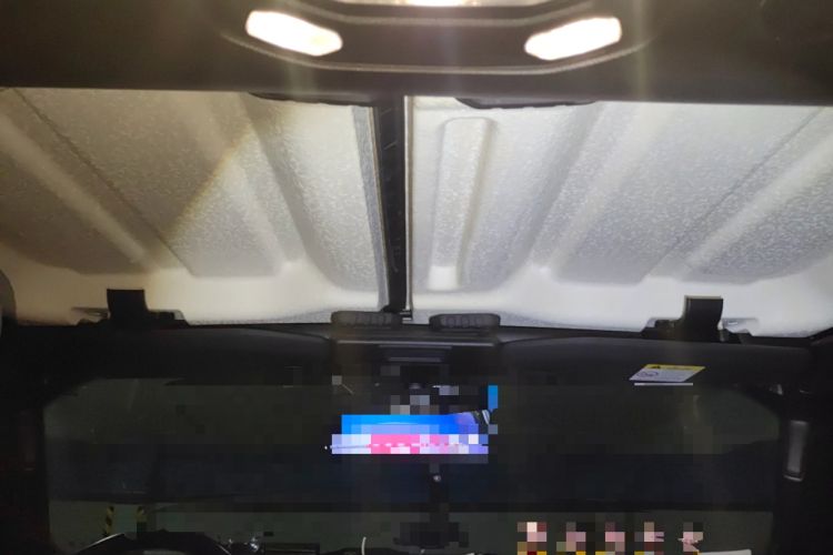 Used Jeep Wrangler 2021 2.0T Sahara Four-Door Edition Headliner