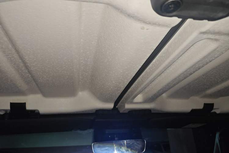 Used Jeep Wrangler 2021 2.0T 80th Anniversary Edition Headliner