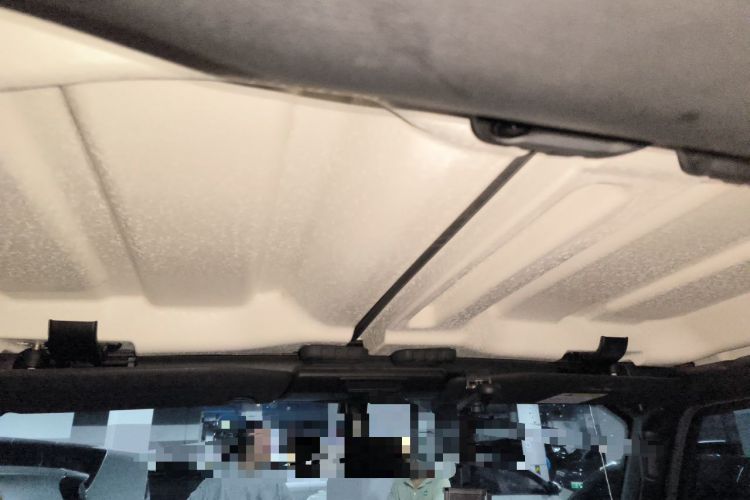 Used Jeep Wrangler 2021 2.0T Robin Hood Four-Door Edition Headliner