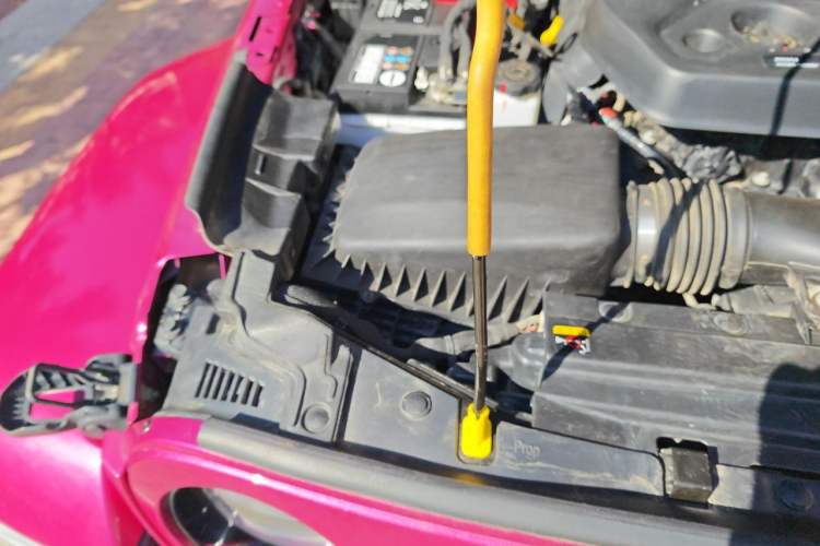 Used Jeep Wrangler 2022 2.0T High Altitude Bahamas Sand Pink Special Edition Engine Bay Right