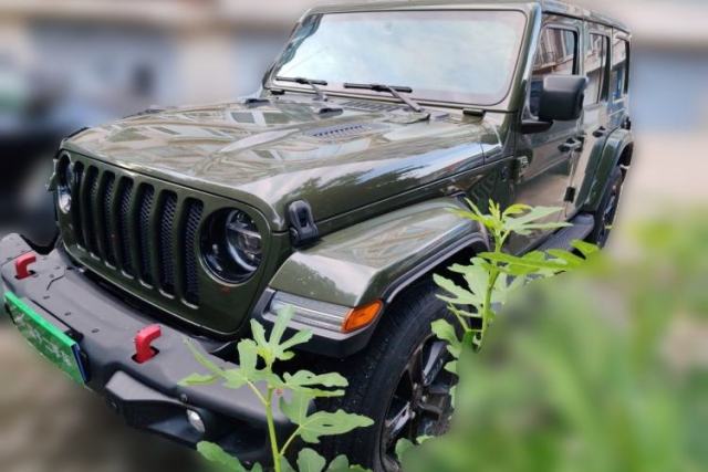 Used Jeep Wrangler 2022 2.0T Highland Jungle Green Limited Edition