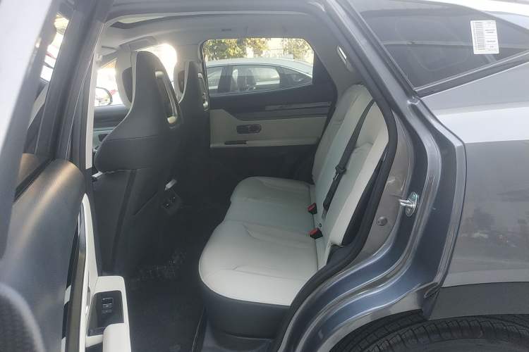 Used JETOUR Dashing 2022 1.6T DCT King PRO Left Rear Seat