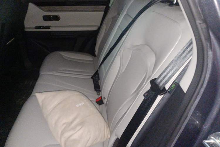 Used JETOUR Dashing 2023 1.6T DCT King PLUS Left Rear Seat