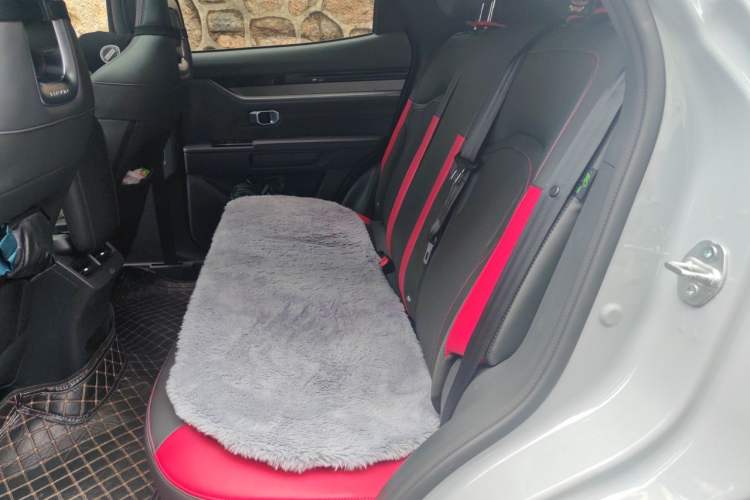 Used JETOUR Dashing 2023 1.5T DCT Starlight Shine Pro Edition Left Rear Seat