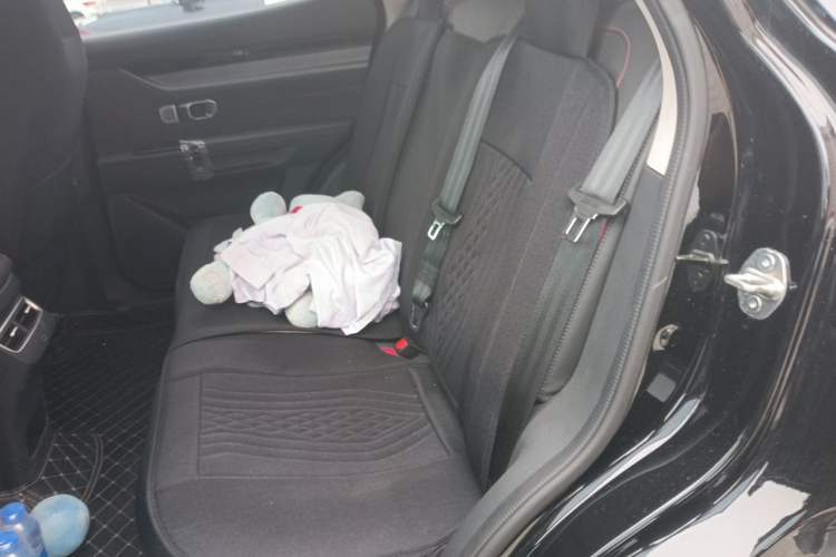 Used JETOUR Dashing 2024 1.5T DCT Youth PRO Left Rear Seat
