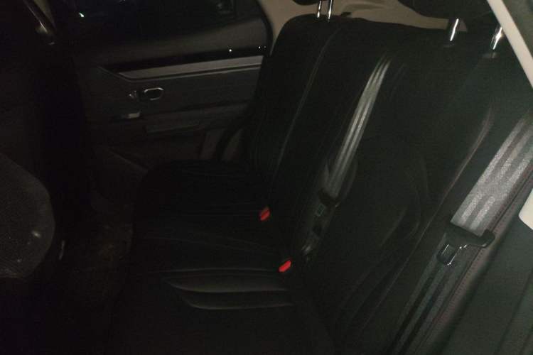 Used JETOUR Dashing 2024 1.5T DCT Starry Peanut Edition Left Rear Seat