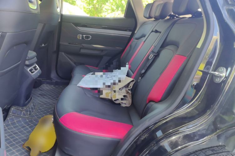 Used JETOUR Dashing 2024 1.5T DCT Longteng Edition PRO Left Rear Seat