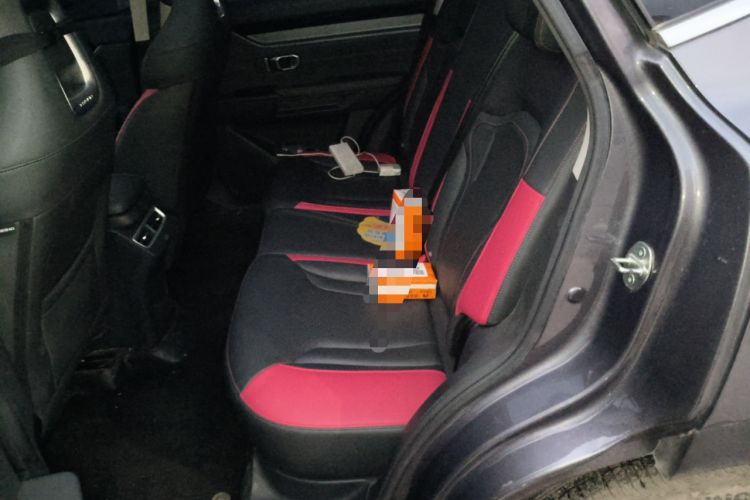 Used JETOUR Dashing 2024 1.5T DCT Starlight Shine Pro Edition Left Rear Seat