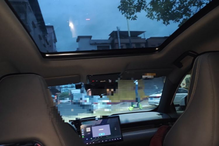 Used JETOUR Shanhai L6 2024 1.5TD DHT MAX Headliner