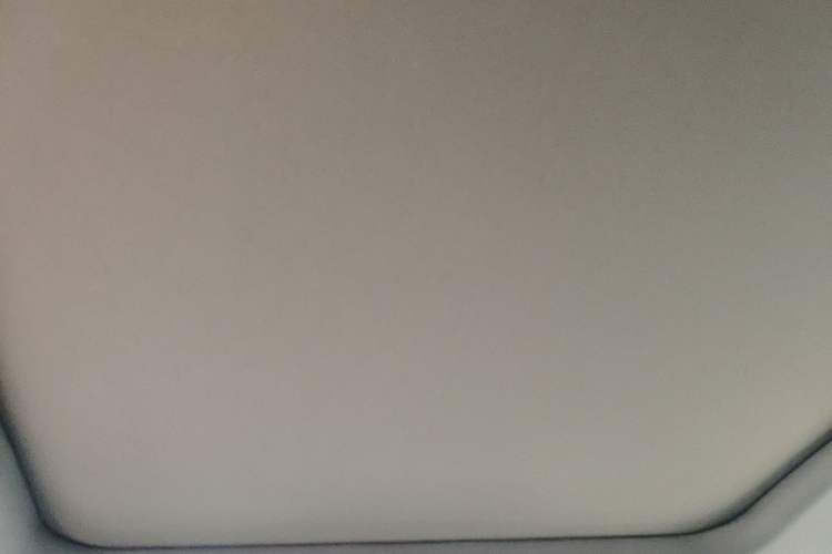Used JETOUR Shanhai L6 2024 1.5TD DHT ULTRA Headliner