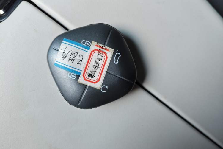Used JETOUR Shanhai L6 2024 1.5TD DHT MAX Interior 1