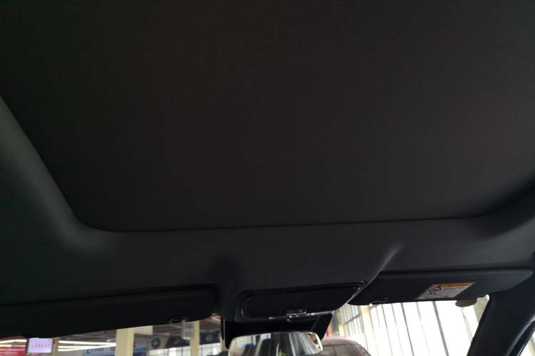 Used JETOUR Shanhai L6 2024 1.5TD DHT MAX Headliner