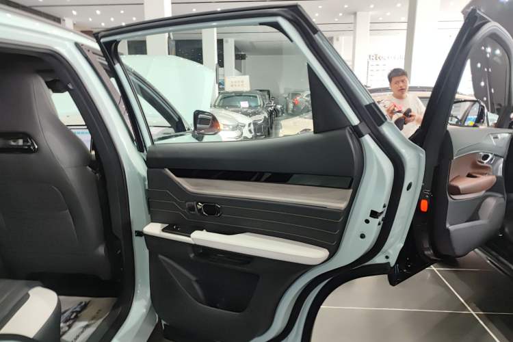 Used JETOUR Shanhai L6 2024 1.5TD DHT ULTRA Right Rear Door Interior
