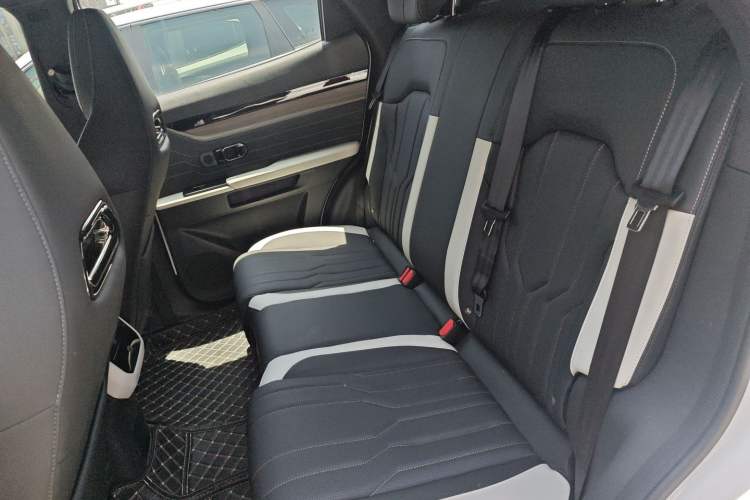 Used JETOUR Shanhai L6 2024 1.5TD DHT MAX Interior 1