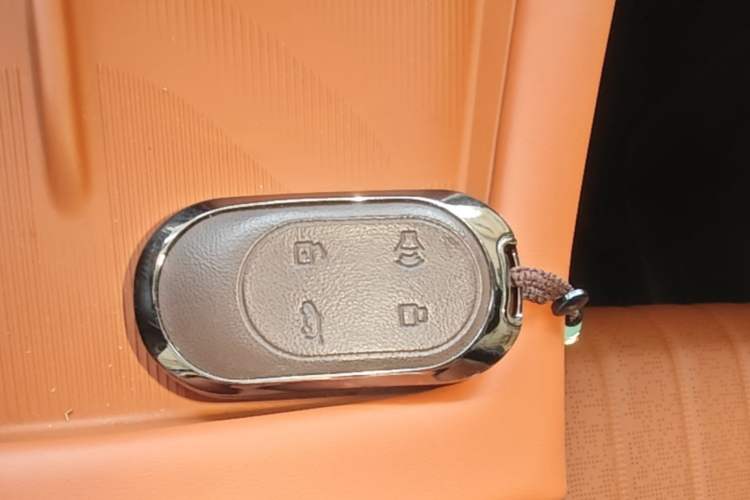 Used JETOUR Shanhai L7 Plus 2025 Model 220km Flagship 7-seater Vehicle Key