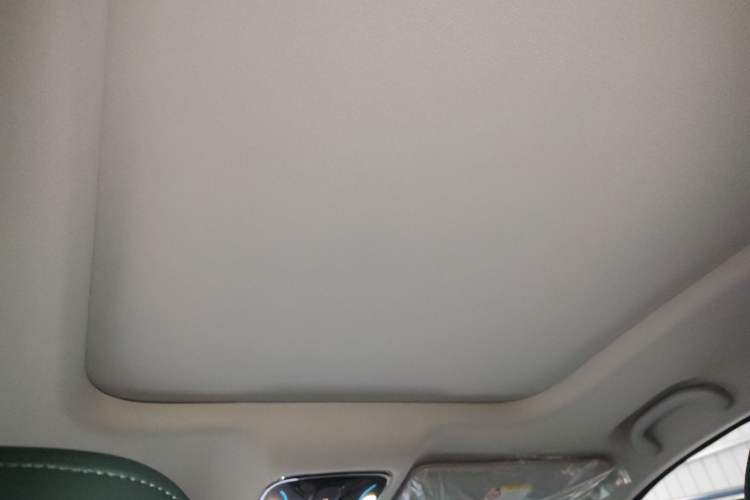 Used JETOUR Shanhai L9 2024 1.5TD 2DHT Pro 7-Seater Headliner