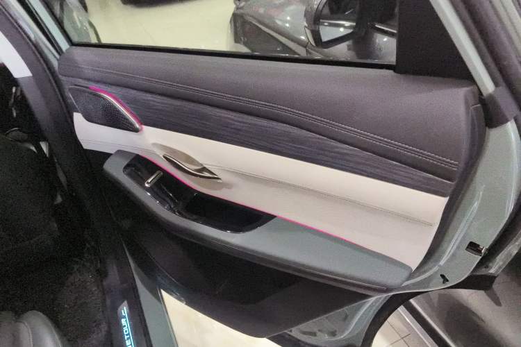Used JETOUR Shanhai L9 2024 1.5TD 2DHT Max 7-Seater Right Rear Door Interior