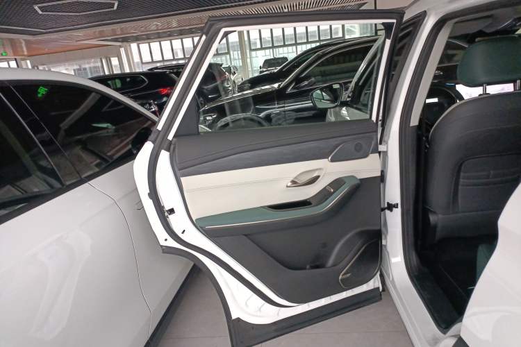 Used JETOUR Shanhai L9 2024 1.5TD 2DHT Pro 5-Seater Left Rear Door Interior
