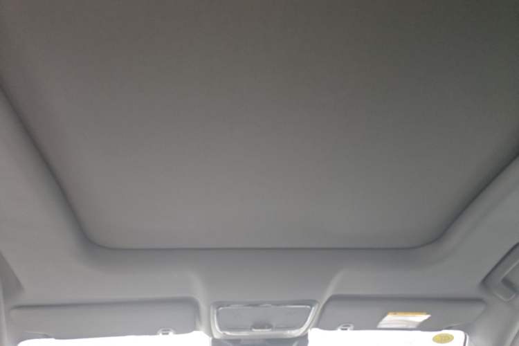 Used JETOUR Shanhai L6 2024 1.5TD DHT MAX Headliner