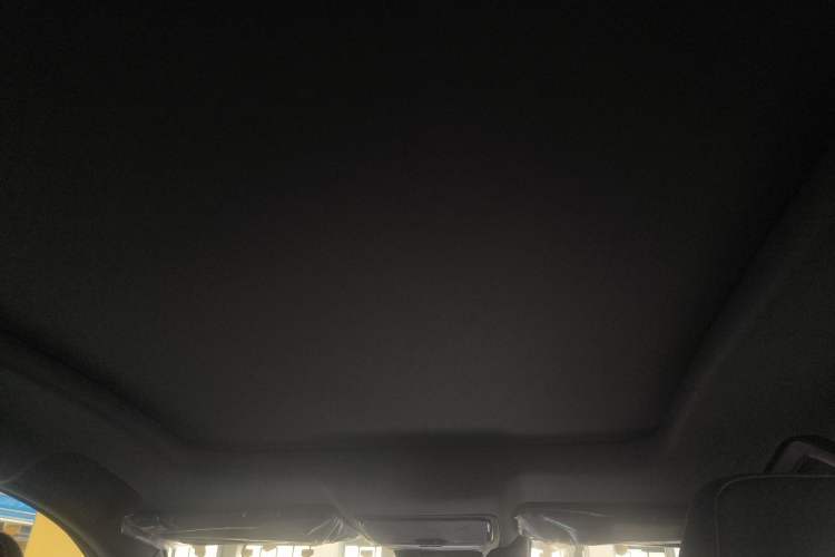 Used JETOUR Shanhai L6 2024 1.5TD DHT MAX Headliner