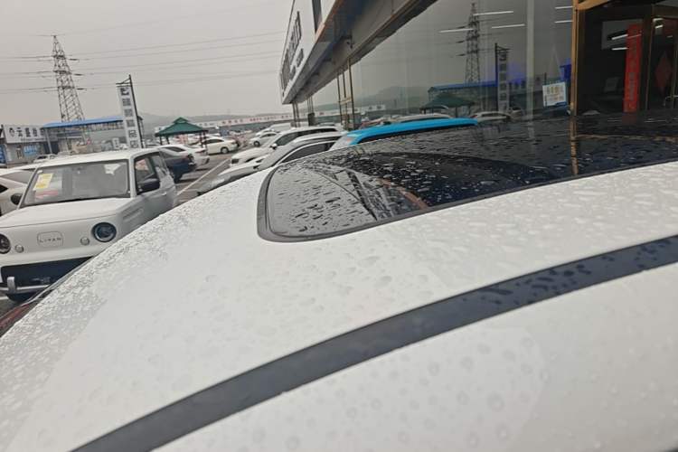 Used JETOUR Shanhai L6 2024 1.5TD DHT MAX Roof