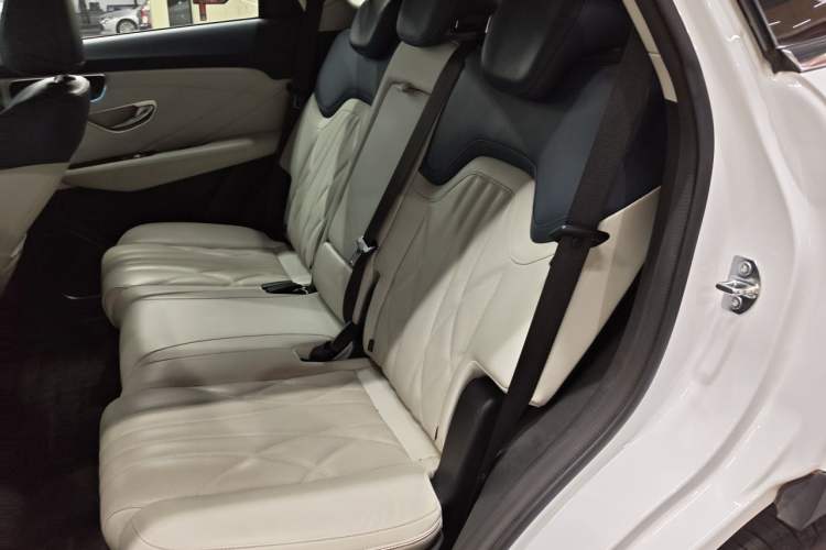 Used JETOUR Shanhai L7 2024 1.5T 120km MAX 5-Seater Left Rear Seat