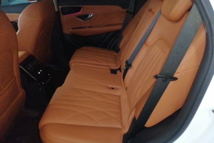 Used JETOUR Shanhai L7 2024 1.5T 120km MAX+ 7-Seater Left Rear Seat