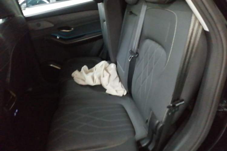 Used JETOUR Shanhai L9 2024 1.5TD 2DHT Pro 7-Seater Left Rear Seat