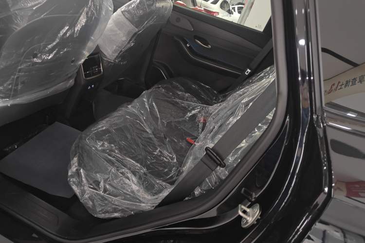 Used JETOUR Shanhai L9 2024 1.5TD 2DHT Executive Edition 5 Seats Left Rear Seat