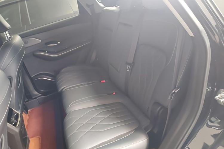 Used JETOUR Shanhai L9 2024 1.5TD 2DHT Executive Version 7-Seater Left Rear Seat