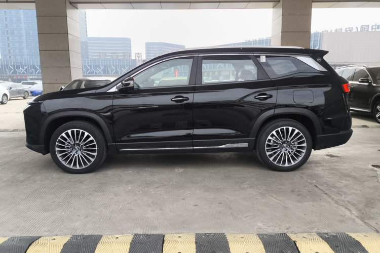 Used JETOUR Shanhai L9 2024 1.5TD 2DHT Pro 7-Seater Left Side