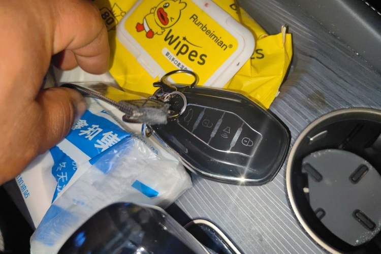 Used JETOUR Shanhai L9 2024 1.5TD 2DHT Pro 7-Seater Vehicle Key