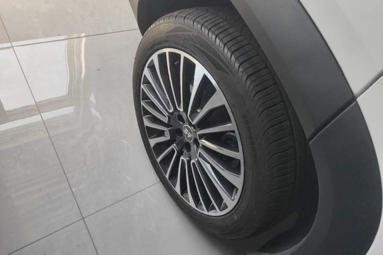 Used JETOUR Shanhai L9 2024 1.5TD 2DHT Pro 5-Seater Exterior 5