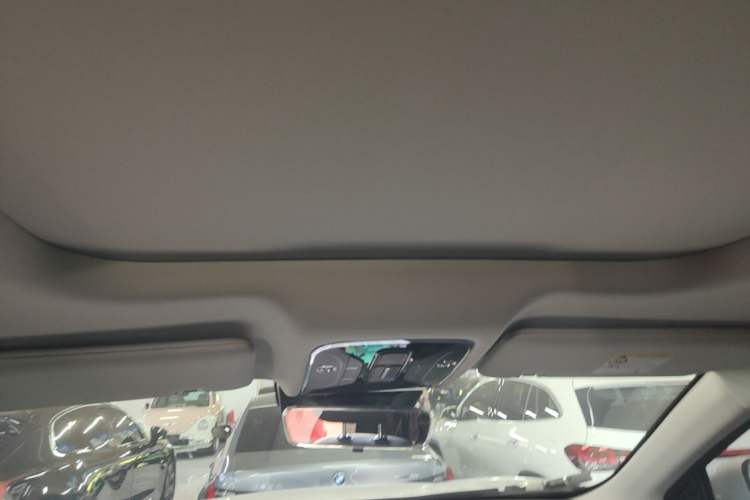 Used JETOUR Shanhai L9 2024 1.5TD 2DHT Pro 5-Seater Headliner