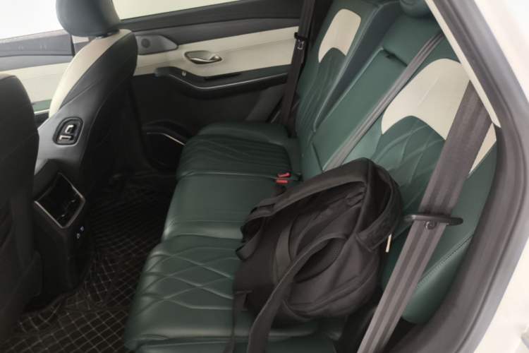 Used JETOUR Shanhai L9 2024 1.5TD 2DHT Max 5-Seater Left Rear Seat
