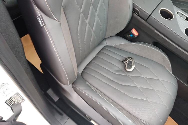 Used JETOUR Shanhai L9 2024 1.5TD 2DHT Pro 7-Seater Right Front Seat