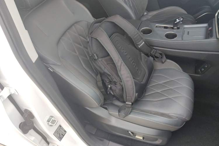 Used JETOUR Shanhai L9 2024 1.5TD 2DHT Pro 7-Seater Right Front Seat