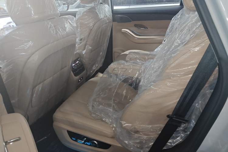 Used JETOUR Shanhai L9 2025 1.5TD 2DHT Luxury Edition 6-Seater Left Rear Seat