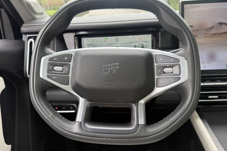 Used JETOUR Shanhai T1 2025 150 km to the Lake Interior 2
