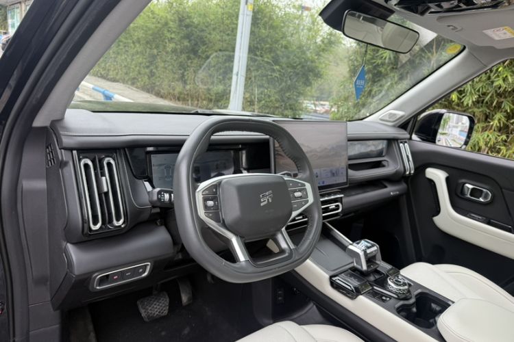 Used JETOUR Shanhai T1 2025 150 km to the Lake Interior 5